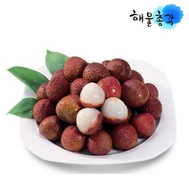 해물총각 냉동과일 망고하프 다이스 리치 람부탄 혼합, 1팩, 냉동리치_1kg