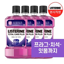 리스테린 토탈케어 플러스 구강청결제, 750ml, 4개
