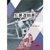 드론경비론, 진영사