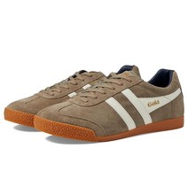 골라 Gola Harrier