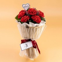 카네이션꽃다발 레드 핑크 살구핑크 어버이날 스승의날, 추가, 투톤살구핑크