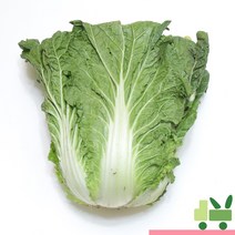사라상회 배추 (2등) 2포기 (4kg), 1개