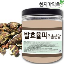 국산 발효율피 추출분말 100gX5통 율피가루 율피분말 율피추출물, 500g
