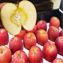 [명가] 경북 가정용 꿀사과 특가판매중, 1박스, 10.가정용흠과 사과 10kg/중과