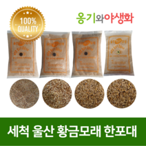 옹기와야생화 세척 울산 황금모래 1호 자연의색 다육파종