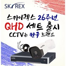 스카이렉스 QHD 초고화질 하이브리드 매장&가정용CCTV 케이블10M 풀세트 실내외겸용, 보급형 실외2개(전용 케이블 10M 아답터