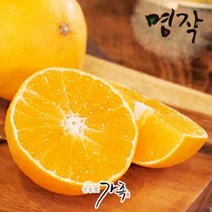 기타 제주 카라향 4kg * 1box(25-36과 / 과당112g-160g), 1