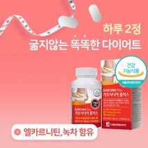 L 카르니틴 함유 식약처인증 다이어트 보조제 가르시니아 112정 HCA 체지방 감소 탄수화물 컷팅제 급찐살 복부지방 피하지방 뱃살 감소 알약케이스 포함, 112정 x 3 (24주)