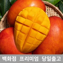 [특등급선별] 애플망고 4.5kg 제주애플망고 제주도애플망고 제주망고 애플망고선물세트 제주산애플망고 망고선물세트 애플망고선물 과일 과일종류 제철과일 겨울과일 망고쇼핑몰 과일선물