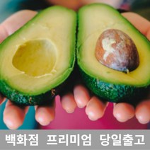 [특등급선별] 아보카도 500g 과일 아보카도요리 아보카도오일 아보카도효능 아보카도먹는법 제철과일 새벽배송 겨울과일 열대과일 아보카도오일효능 아보카도유 아보카드 아보카도오일먹는법