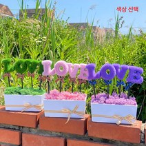모스이끼 화분 순록이끼 천연 이끼 키우기, LOVE 퍼플 모스 블루