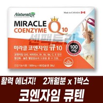 COENZYME Q10 코엔자임 코큐텐 캐나다 직수입 건기식 활력 비타민B군 항산화 혈압 관리