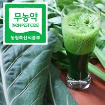 직거래농민장터 무농약 케일 신선초 친환경 녹즙용, 1box, 무농약 케일 2봉지(총1.1kg)