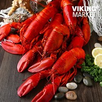 [바이킹마켓][무료배송] 항공 직송 자연산 캐나다 자숙 랍스터 4.54kg 1박스 (사이즈 6종 택1), BOX, 600-800