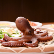 자숙 통문어찜 1마리, 단일수량