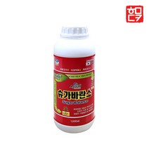 슈가바란스 1000ml 웃자람방지 도장억제 과일크기 수확량향상 감자 고구마 과일 샤인머스켓, 1개
