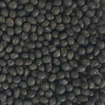 한땀영농조합법인 국내산 전남 무안 황토밭 청약콩 1kg, 1개