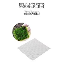 모스 활착판 수초 활착 5x5cm 스테인레스 활착판 불꽃 모스