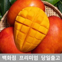 애플망고 4.5kg 애플망고 쥬스 대용량 과일 열대 망고, 1, 본상품선택
