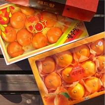 브랜드없음 [고마운선물]레드향(1박스)+천혜향(1박스) 선물세트 6kg, 단품없음