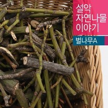 넥스티즈 [설악사람들]자연산 벌나무-A 600g/강원도/설악산/국내산/산지직송/자연건조, 단품없음