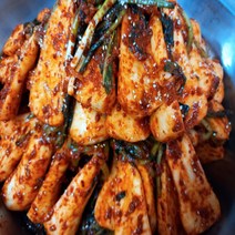 김치 전라도 총각김치 2kg 발품장터