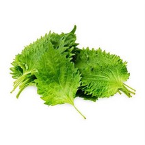 일본깻잎 시소잎 시소 10팩 (1팩 약30장)