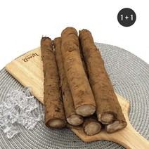 [초록한입] 국내산 유기농 우엉 500g/1+1 (총1kg), 1kg, 2개