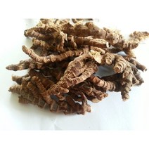 석창포300g 석창포전문농원 자체생산판매 국내산 GAP, 300g, 1개
