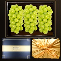 샤인머스켓 선물 세트, 2.8kg (수출용 최상급 3송이)