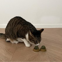 고양이 롤링 캣닢 사탕 냥이 스트레스해소 고양이 장난감 캣닢볼 캔디 캣잎 헤어볼 감소, 고양이 캣닢 사탕(2개입)