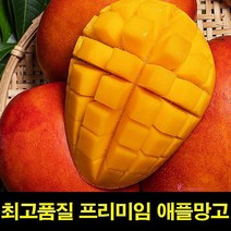 ForU178 고씨네 특급 애플 망고 망고포도 애플망고자르는법 2kg 제주애플망고, 상세페이지 참조