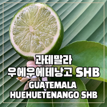 (커피생두) 43 과테말라 우에우에테낭고 SHB 1kg, 1개