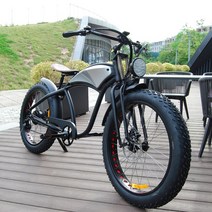 전기자전거 전기자전거렌탈 새로운 디자인 26 인치 큰 타이어 장거리 ebike 강력한 모터 전자 자전거 전기, 01 Sliver, 01 501-750w
