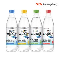 (정기 구독) 아이스웨일 탄산수 500ml 20입(향 3종 택1), 1. 아이스웨일 500ml 20입-플레