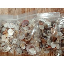바다꾸미기 조개껍질 작은파츠 조개껍데기 미니조개 레진재료 만들기재료, 1개