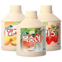 차그림 과일원액 10종 850mlx12개(1박스) / 음료베이스 과즙 농축액, 12개, 850ml