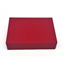 USB 케이스 10종 스틱형 카드형 판촉물 b0639, 레드, 1개