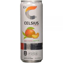 셀시우스 Celsius 복숭아 망고 녹차 355ml(12온스) 캔 가성비 추천 미국직구