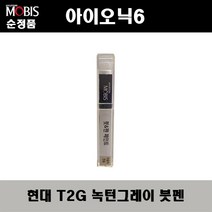 순정품 현대 아이오닉6 T2G 녹턴그레이 붓펜 자동차 도색 차량용 카페인트, T2G 녹턴그레이 붓펜(모비스)