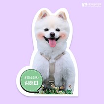 동물등신대 실물스탠딩 B02 네임택그린 소형 20cm