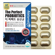 임신부 수유부 속 더부륵 소화 안될때 100억 생유산균 락토바실러스 가세리 모유 유산균 70대 80대 노인 묽은 변 잔변감 추천 람노서스 LGG유산균 배변활동 원활 프리바이오틱스, 1박스(1박스 당 44800원)