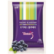 아임요 요거에스 블루베리 파우더 1kg 요거트파우더, 대량등록 쿠팡 1, 1000g
