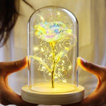 LED 미녀와야수 홀로그램 장미 꽃 유리돔 로즈데이 여자친구 선물 화이트데이 발렌타인데이 크리스마스 홈파티 기념일 생일 프로포즈, 혼합색상
