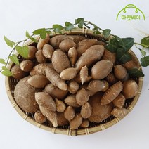 [마켓베이] 경남 산청 아피오스 1kg 2kg 인디언감자, 1. 경남 산청 아피오스(인디언감자) 1kg