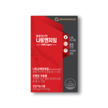 [1개월분] 나토엔자임 1BOX (혈행개선 기억력개선 나토키나제)