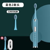 스마트소닉전동칫솔 치아미백 방수 전동칫솔, 블루+USB브러쉬3