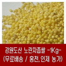 [다온농산] 2022년산 강원도산 노란차조/차좁쌀 -1Kg- 홍천/인제농가