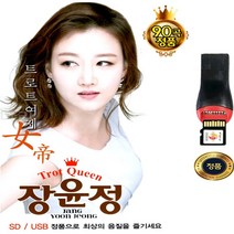SY019 트로트 여제 솔미디어 장윤정 90곡/추천/USB앨범
