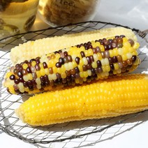 기장찰옥수수 무첨가 30개 중국농촌배배 찐 삶은 냉동 찰 옥수수 5종, 홍찰작은(소)30개